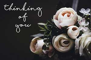 Thinking of You - Roses