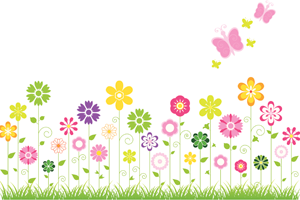 Blooms & Butterflies